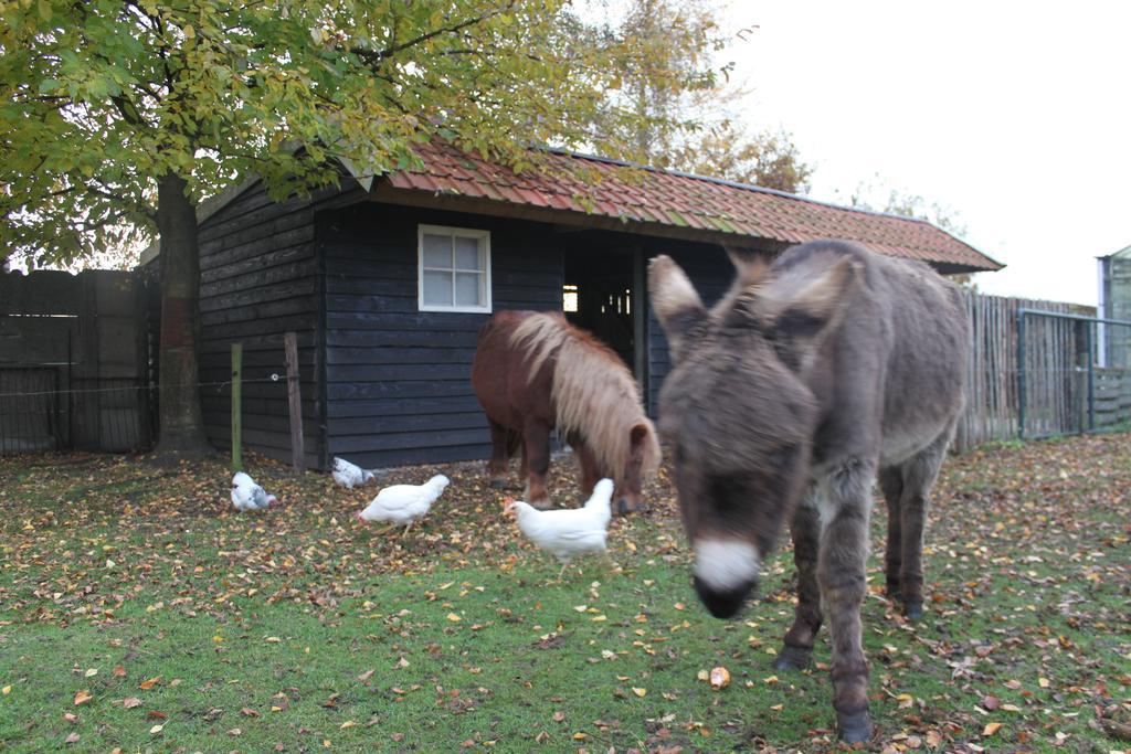 B&B De Rijcke Rust Rijkevorsel Extérieur photo
